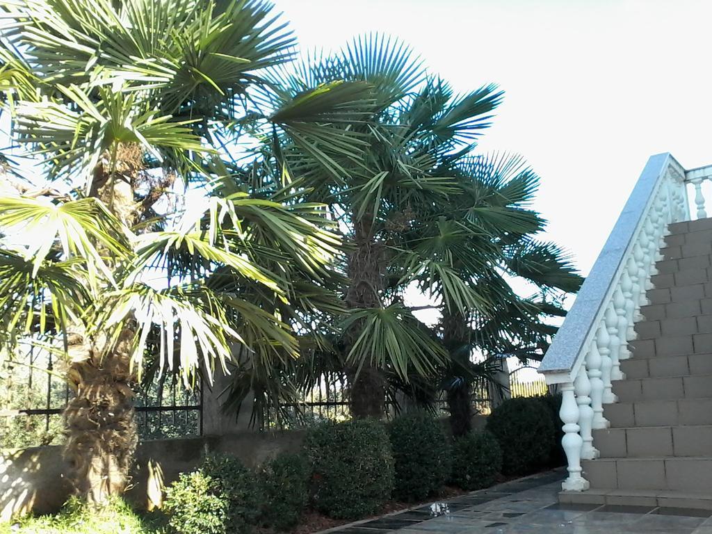 House Apartments Ariamare Porec Exterior photo