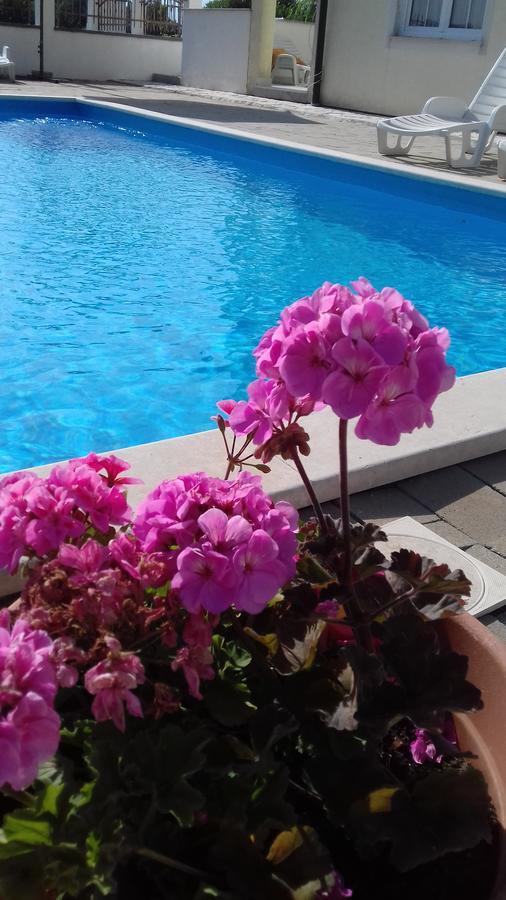 House Apartments Ariamare Porec Exterior photo